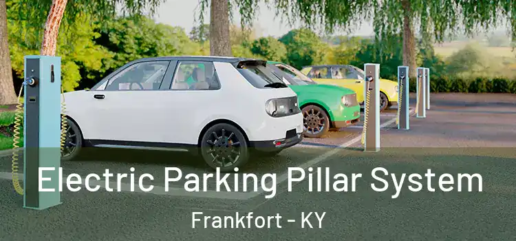  Electric Parking Pillar System Frankfort - KY