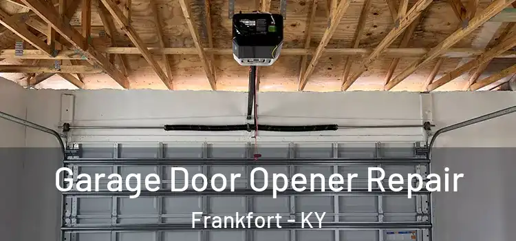  Garage Door Opener Repair Frankfort - KY