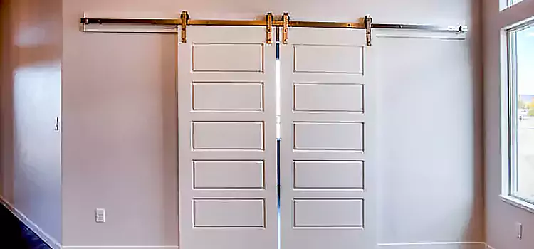 Glass Barn Door with Installation Hardware Kit Frankfort