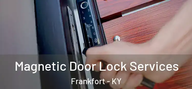 Magnetic Door Lock Services Frankfort - KY