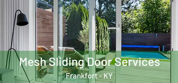 Mesh Sliding Door Services Frankfort - KY